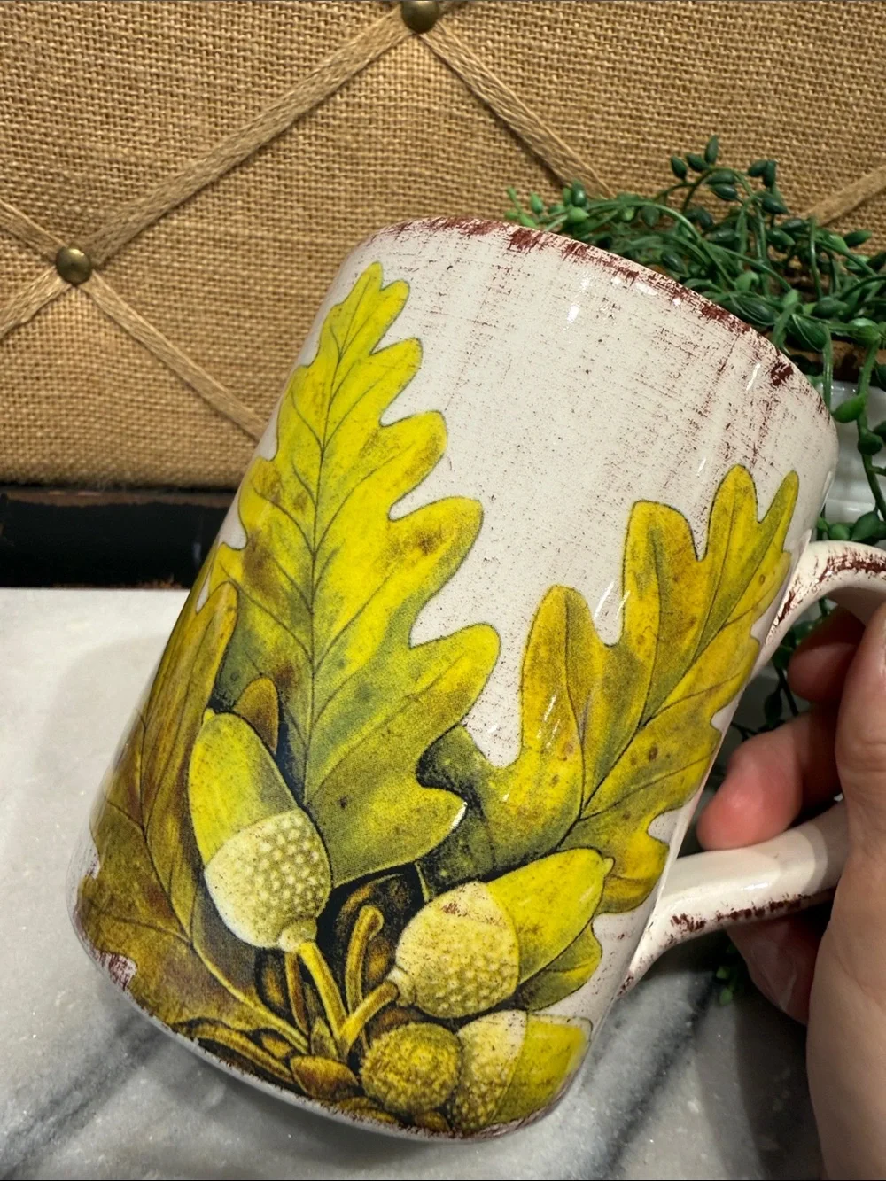 Sur La Table White and Green Oak Acorn Ceramic Mug